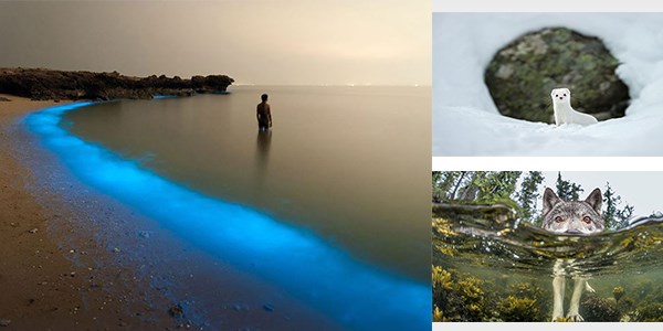 National Geographic'in en iyi 2015 fotoğrafları