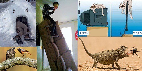 Günün en ilginç 40 fotoğrafı!