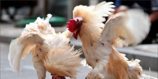 İnternetin en garip fotoğrafları
