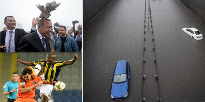 İşte Yılın basın fotoğrafları bakın ilk sırada ne var!