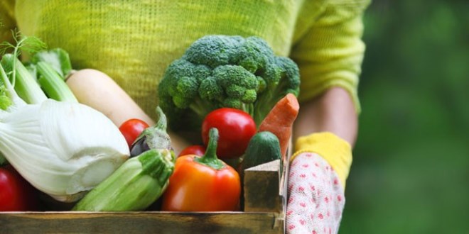 Bir haftada 4,5 kilo verdiren diyet listesi
