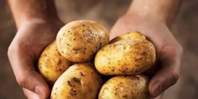 Haftada dört kez patates yerseniz...