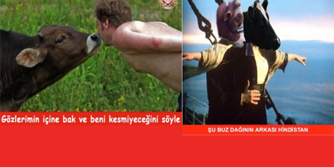 En iyi 'Bayram capsleri'