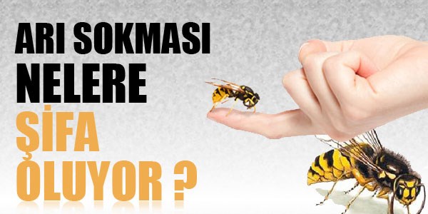 Arı sokması nelere şifa oluyor ?