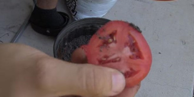 Bozulmaya yüz tutmuş domatesleri sakın atmayın!