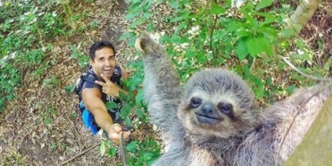 Dünyanın çeşitli bölgelerinde çekilmiş en iyi selfie'ler...