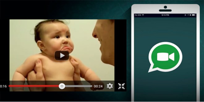 WhatsApp'ta videolar indirmeden izlenecek