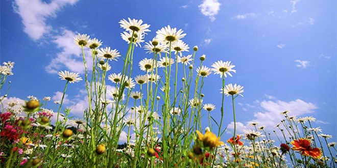 Dünyanın ilk bayramı Nevruz ile ilgili 20 şey