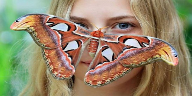 Günün en ilginç fotoğrafları