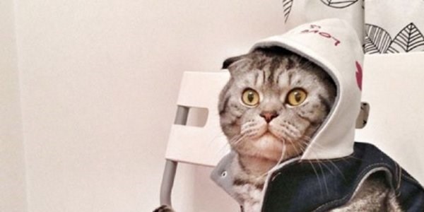 İnternetin yeni fenomeni!