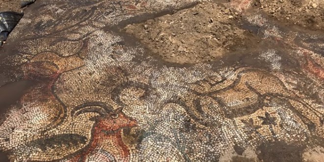 1600 yıllık mozaik bulundu