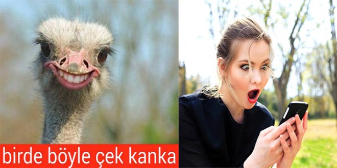Sosyal medya kullanımıyla ortaya çıkan 21 hastalık