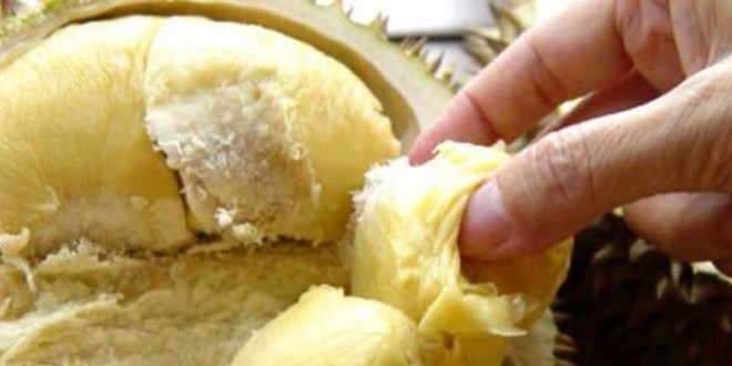 Durian meyvesinin faydaları