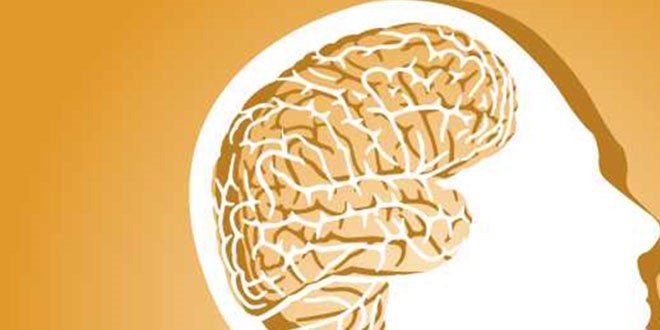 IQ seviyeniz ortalamanın üzerinde mi?