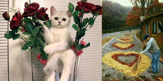 Günün en çok paylaşılan fotoğrafları