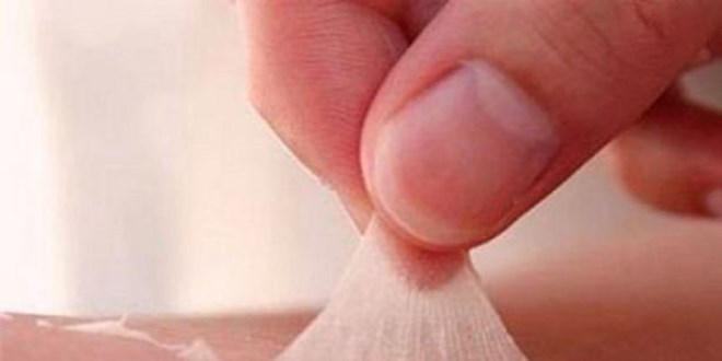 Dünyanın en ilginç bilgileri