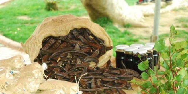 Keçiboynuzunun bilinmeyen faydaları