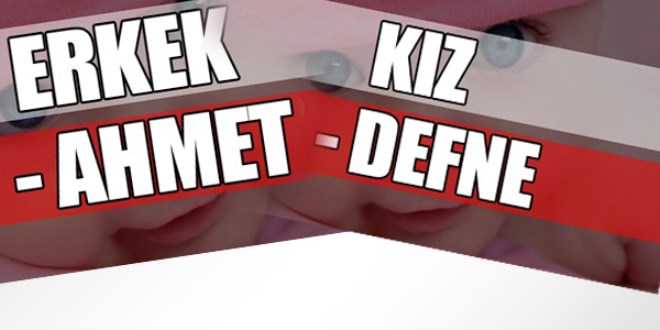 2017'de en çok koyulan isimler