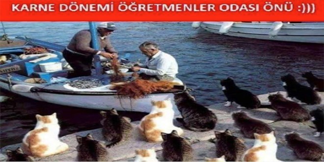 Karne capsleri sosyal medyayı salladı