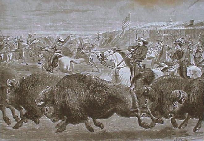 Buffalo Bill bufalolara ne yapıyordu?<br>  Hiçbir şey çünkü Kuzey Amerika’da bufalo yoktur. ‘Bufalo’ kelimesi genellikle, yanlış bir biçimde bizon yerine kullanılır. Ancak söz konusu bizonlrsa Buffalo Bill, on sekiz aydan daha kısa bir sürede bu hayvanlarda 4 bin 280 tane öldürdü.