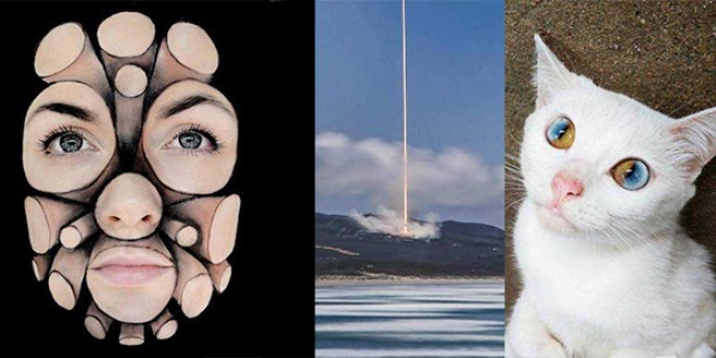 Günün en çok paylaşılan fotoğrafları