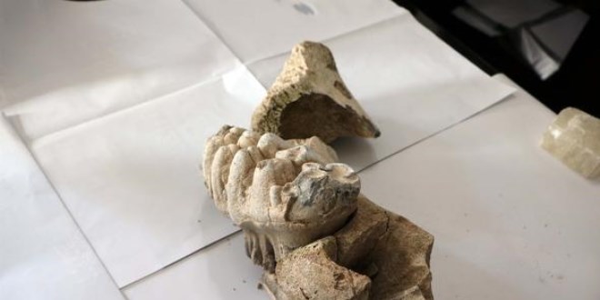 Yozgat'ta bulundu şaşkına çevirdi