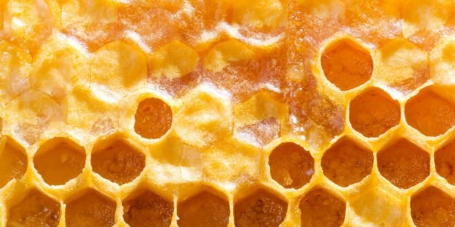 Her şeye iyi gelen 'propolis' mucizesi