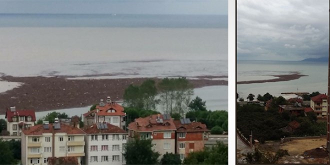 Tonlarca fındık denizde!