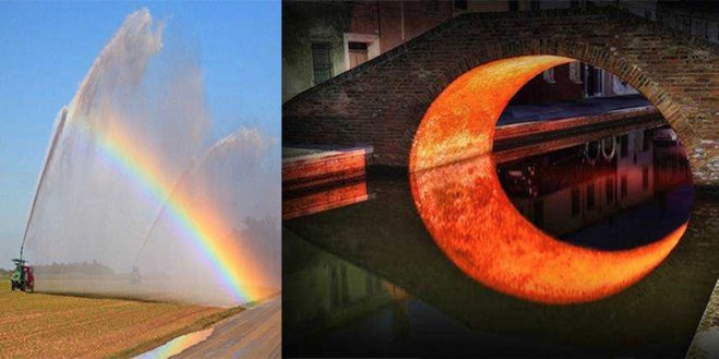 Günün en çok paylaşılan fotoğrafları