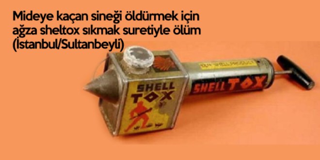 Türklere has ölümler