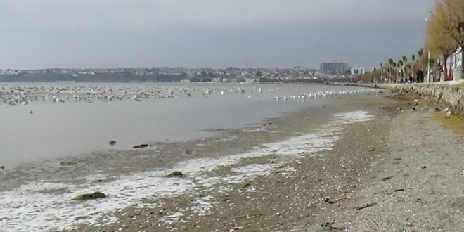 Deniz 50 metre çekildi