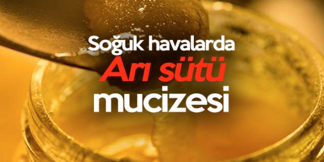 Soğuk havalarda Arı sütü mucizesi