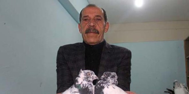 Kümesinde servet saklıyor