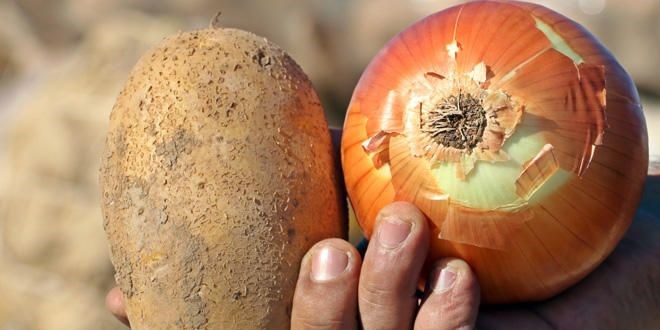 Soğan ve patates tüketimi düşecek