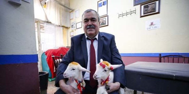 Biri Kanka Ercan diğeri Gülcan... Mahallenin maskotu oldular