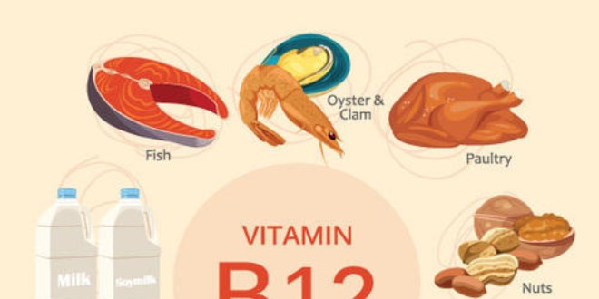 B12 hangi besinlerde bulunur?
