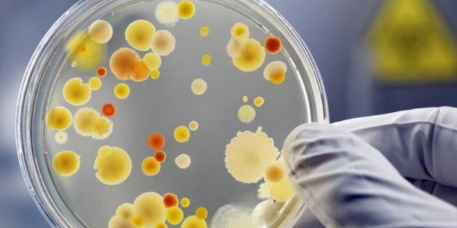 Bakteriler ve antibiyotik hakkında yeni bilgiler