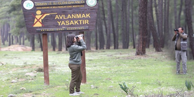 Hayvanat bahçesinden kaçan kurt aranıyor