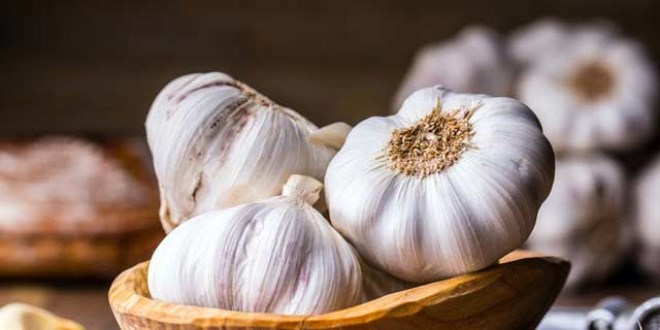 Sarımsağın yeni bir faydası ortaya çıktı