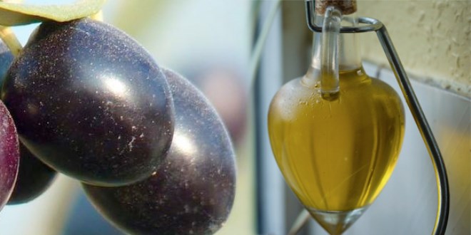 Zeytin sütünün inanılmaz yararları
