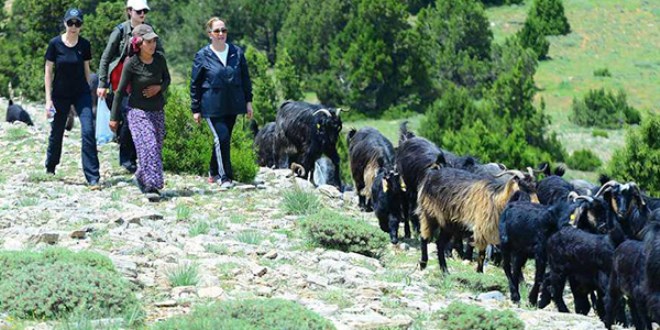 Kadın vali, Karakeçili yörükleriyle 16 kilometre yürüdü