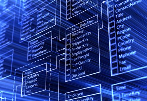 <p><b>Veritabanı Yöneticileri</b></p>   İş kollarının tamamen teknolojiye bağlı hale gelmesiyle, bilgisayar destekli veritabanı yaratan kişiler ön plana çıkacak.