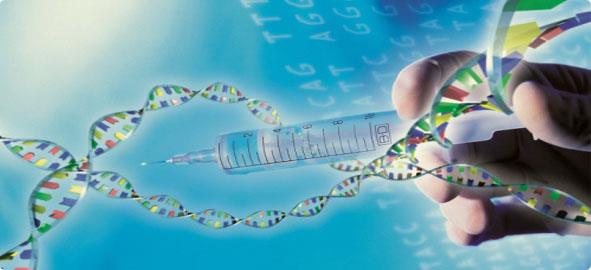 <p><b>Genetik Mühendisliği</b></p>  Genetiğin geleceğin meslekleri arasında ilk sırayı alacağı herkesin ortak görüşü. Uzmanlar insanın gen haritasının çıkarılmasının ekonomide, 1970`lerin bilgisayar teknolojisinin yarattığı devrime benzer bir sonuç doğuracağı ve gelecek yılların genomik (genetik ekonomisi) çağı olacağı görüşünde birleşiyor.