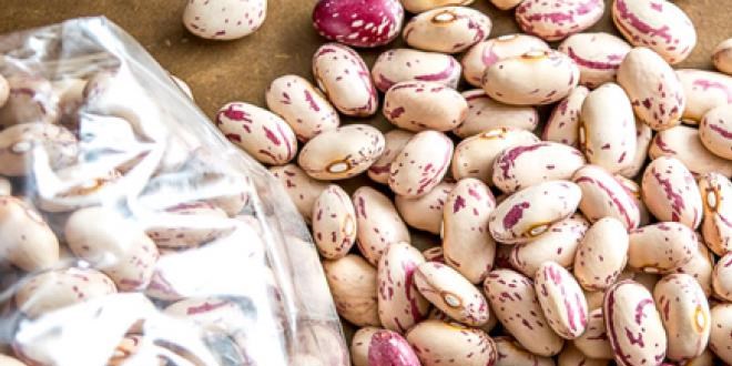 Barbunya hangi hastalıkları önlüyor?