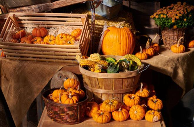 Tüm liste içerisinde hem listeye giren şirket sayısı (136) hem de ortalama gelir (23,2 milyar dolar) açısından öne çıkan sektör ise hızlı tüketim oldu. Hızlı tüketim sektöründe faaliyet gösteren 136 şirket, toplam gelirin %66,5’ini oluşturdu.