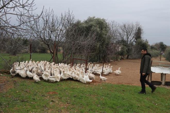 Kaz etinden yapılan kebabı tadan Ümit Altınköse de daha önce bilinen şekliyle yediği kaz etinden kebap da yapıldığını duyunca merak ettiğini ifade etti. Altınköse, "Bir Adanalı olarak genelde kebap yeriz. Kaz etinden kebap yapıldığını gördüm. Güzel olmuş, garipsemedim, damak tadıma uygun olmuş" değerlendirmesi yaptı.
