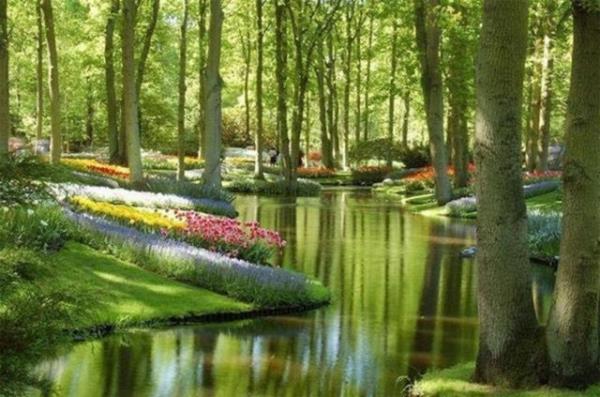 Keukenhof, Hollanda