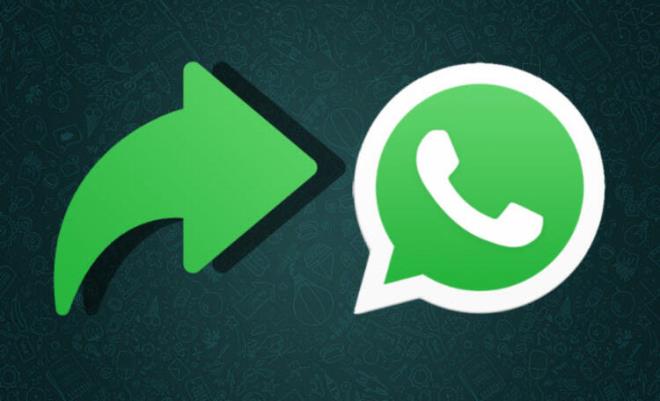 Bir diğer özellik ise WhatsApp yedekleri üzerine... Uygulama, sohbet yedekleri için şifre koruması sağlayacak. Özellik uygulamanın önceki bir sürümünde tespit edildi ve temel olarak kullanıcıların sohbet yedeklemelerine gizlilik için güvence altına almak için şifre ya da pin ayarlamasına izin veriyor.