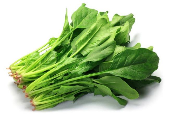 ISPANAK:    Ispanak, lutein ve zeaksantin kaynağı olan bir grup yeşil yapraklı sebzedir. Bir fincan ıspanak, görme yeteneğini iyileştirmede önemli olan yaklaşık 20.4 mg iki bileşene sahiptir. Ispanak pişirilme dışında suyu sıvı hale getirilip içecek olarak da tüketilebilir.