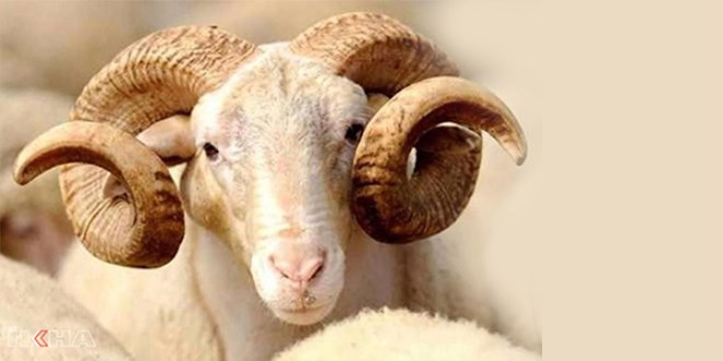 Kurban kesimiyle ilgili önemli karar